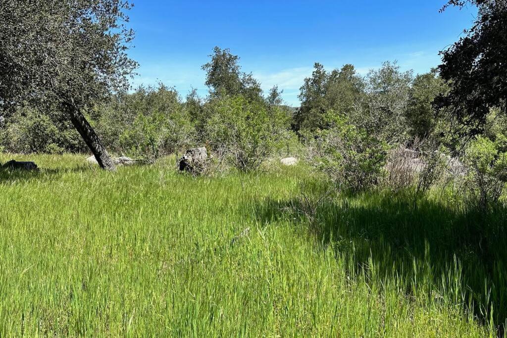 הוילה Santa Ysabel Julian Orchard Ranch מראה חיצוני תמונה